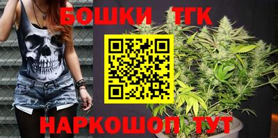 Альфа ПВП Владикавказ