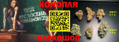 Альфа ПВП Владикавказ