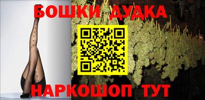 Альфа ПВП Владикавказ