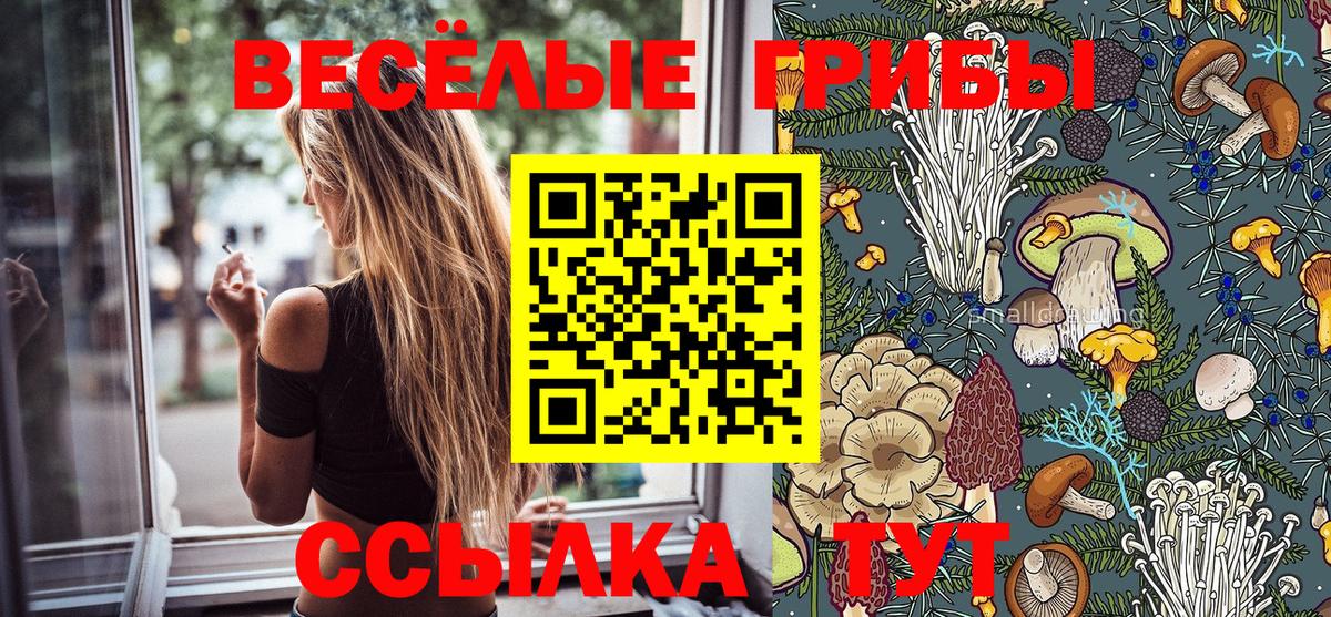 Балахна  купить закладку  Вход с VPN  Галлюциногенные грибы мицелий 