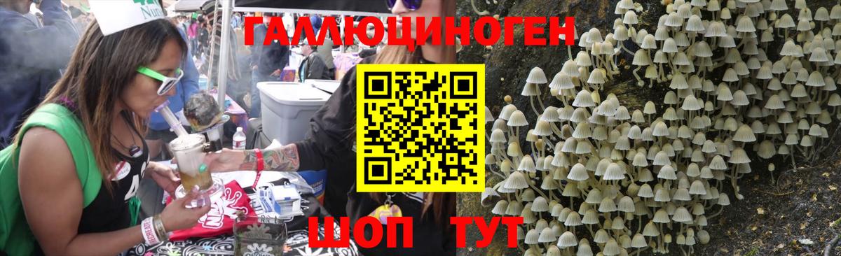 Галлюциногенные грибы MAGIC MUSHROOMS Балахна